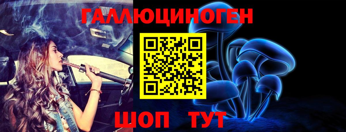 Псилоцибиновые грибы ЛСД  купить наркотики сайты  Дивногорск  Вход с VPN 